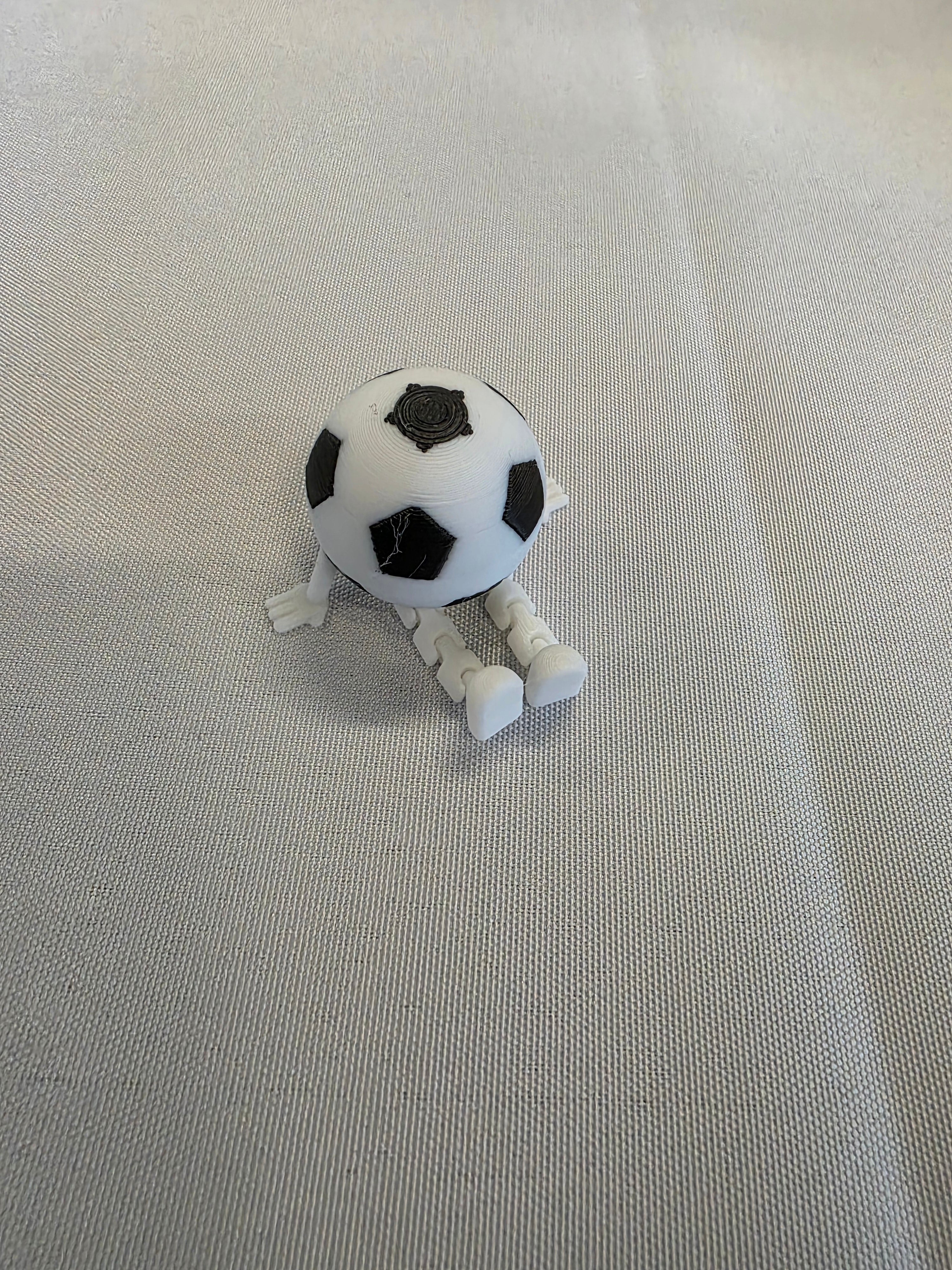 Soccer buddy