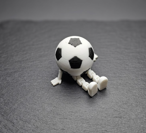 Soccer buddy