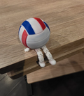 Volleyball Buddy 3D Print